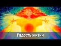 💕Крайон! Как обрести радость жизни? Как научиться радоваться жизни?💕