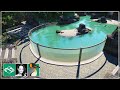 Saying Goodbye to our Aquatic Pontus Zoo in this Planet Zoo Tour