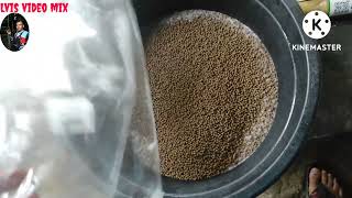 Umpan Ikan Keli Terus Bolt.umpan Keri Palet Superkeli.