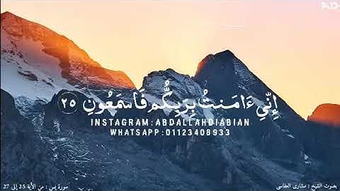 سورة يس حالة واتس بصوت الشيخ مشارى العفاسى ❤-- حال