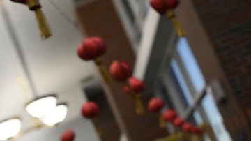 UF VSO 2017: End of the Year Recap