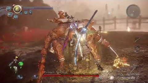 wave of terror DotD, NG++, 170+8 Split Staff, NIOH 2 仁王2