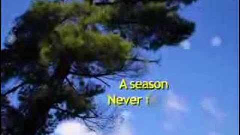 A Season - July 31st, 2007