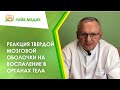 👨‍⚕️ Реакция твердой мозговой оболочки на воспаление в органах тела