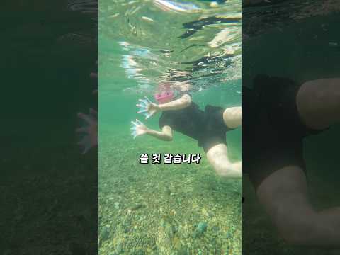 이게 진짜 효과있네요! thumbnail