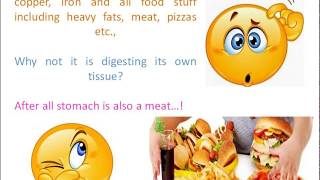 Why stomach does not digest itself ?