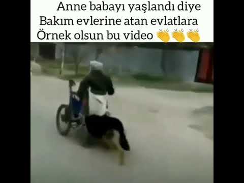 ailesine sahip çıkmayan evlatlara ibretlik video