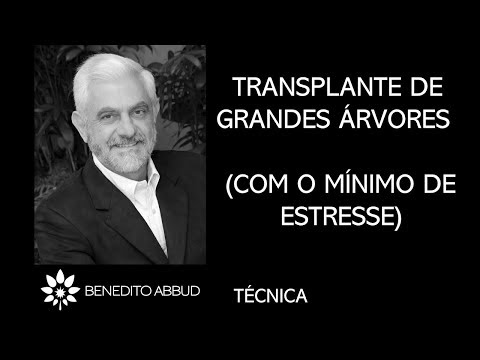 Vídeo: Como você transplanta uma grande árvore de cedro?