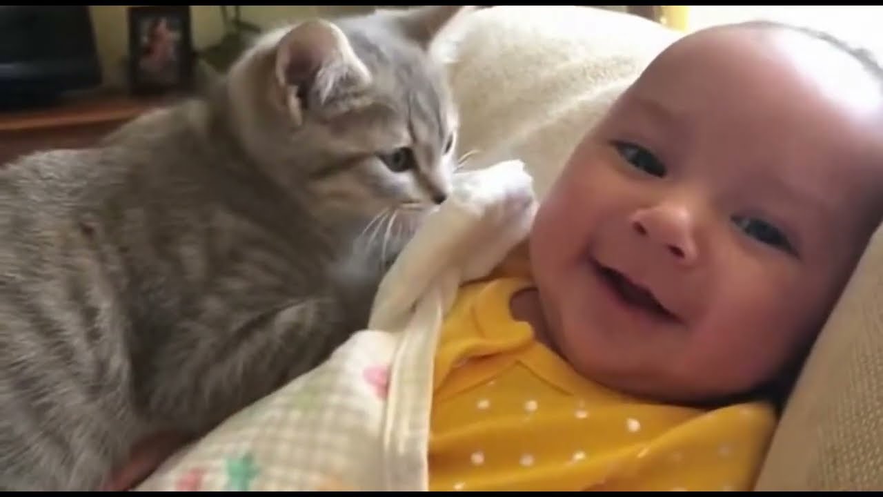 Baby Sleeping With a Tiny Kitten 😴🐱 | Adorable Cute Moments Compilation