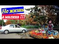 Сидеть в малиннике, не значит ягоду-малину есть !!!