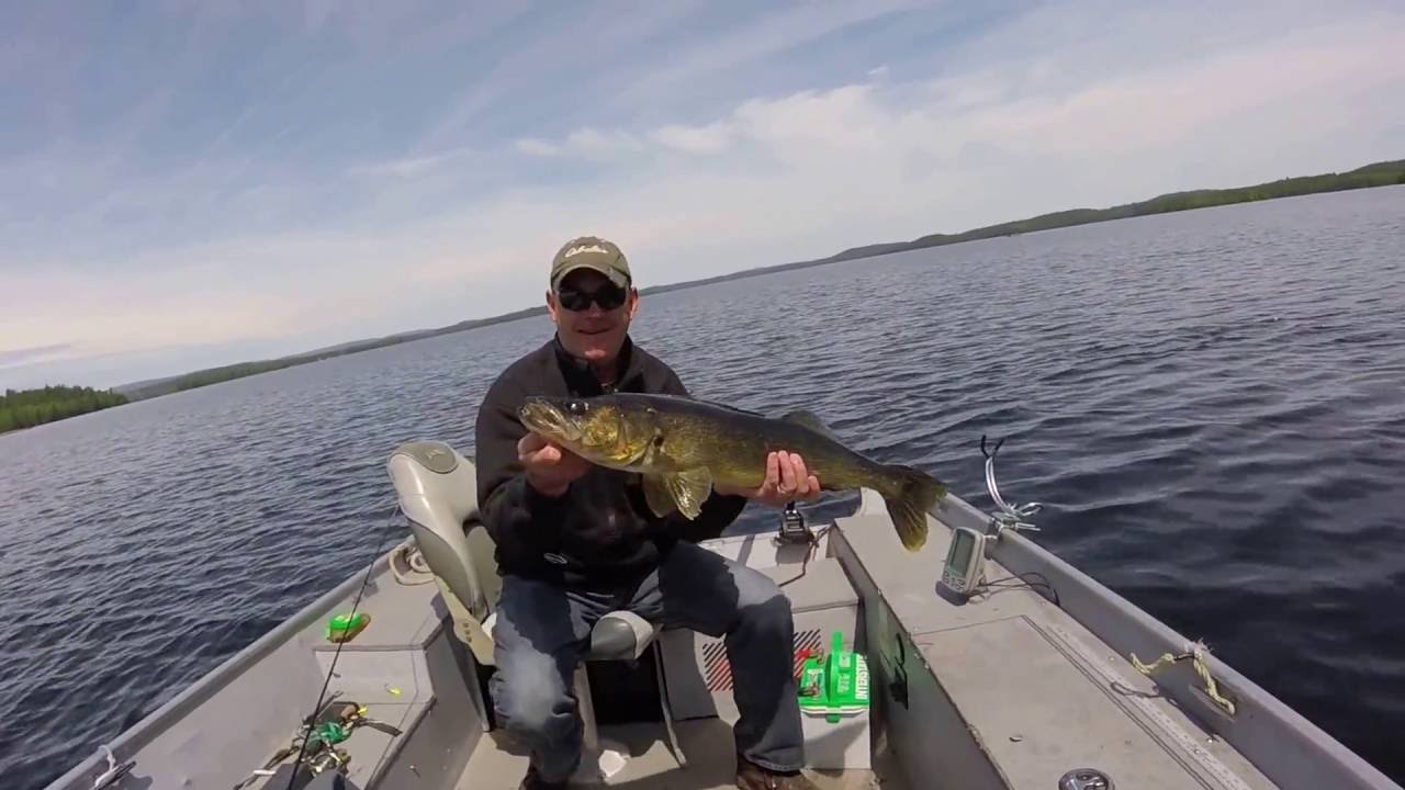 Island Lake gives up 30-inch walleye on opening weekend