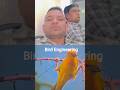 bird engineering #viralvideo #digitalcreator #trending #reaction