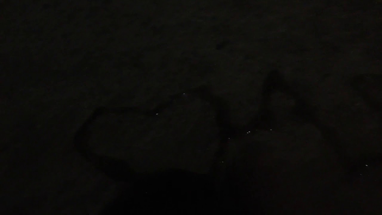 Nghịch lửa và một cái kết - YouTube