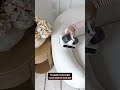 Amazon Home Must-Haves 2025 | Modern, Cozy Best Sellers!