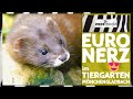 EuroNerz im TIERGARTEN MÖNCHENGLADBACH | zoos.media