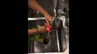 How to Clean Radishes