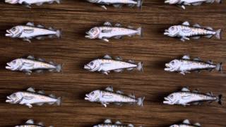 Mcdonalds Fish Mcbites