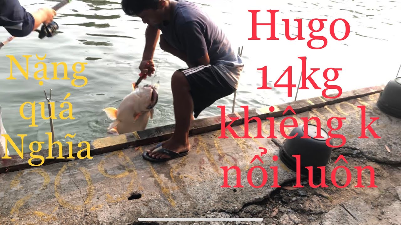 GIẢI ĐÊM HỒ HẢI LONG VƯƠNG (17/4/19) | LÊN TOÀN CÁ TO | CÁI KẾT ĐƯỢC BIẾT TRƯỚC | FISHING | CATFISH