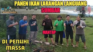 Panen Ikan Larangan Nagari Languang Di Penuhi Massa Jelajah Nagari