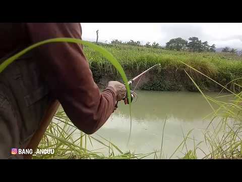 berkah-ramadhan-||-mancing-dapat-strike-berkali-kali