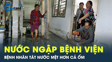 Triều cường bủa vây, đang nằm viện cũng bật dậy tát nước | CafeLand