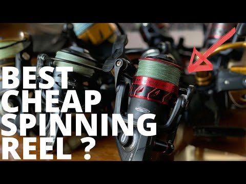 Best saltwater spinning reel review? Penn Fierce III REVIEW vs Battle II  Conflict II Spinfisher V VI 