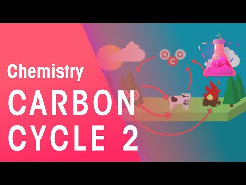 What Is The Carbon Cycle - Part 2 | Environmental Chemistry | Chemistry | FuseSchool