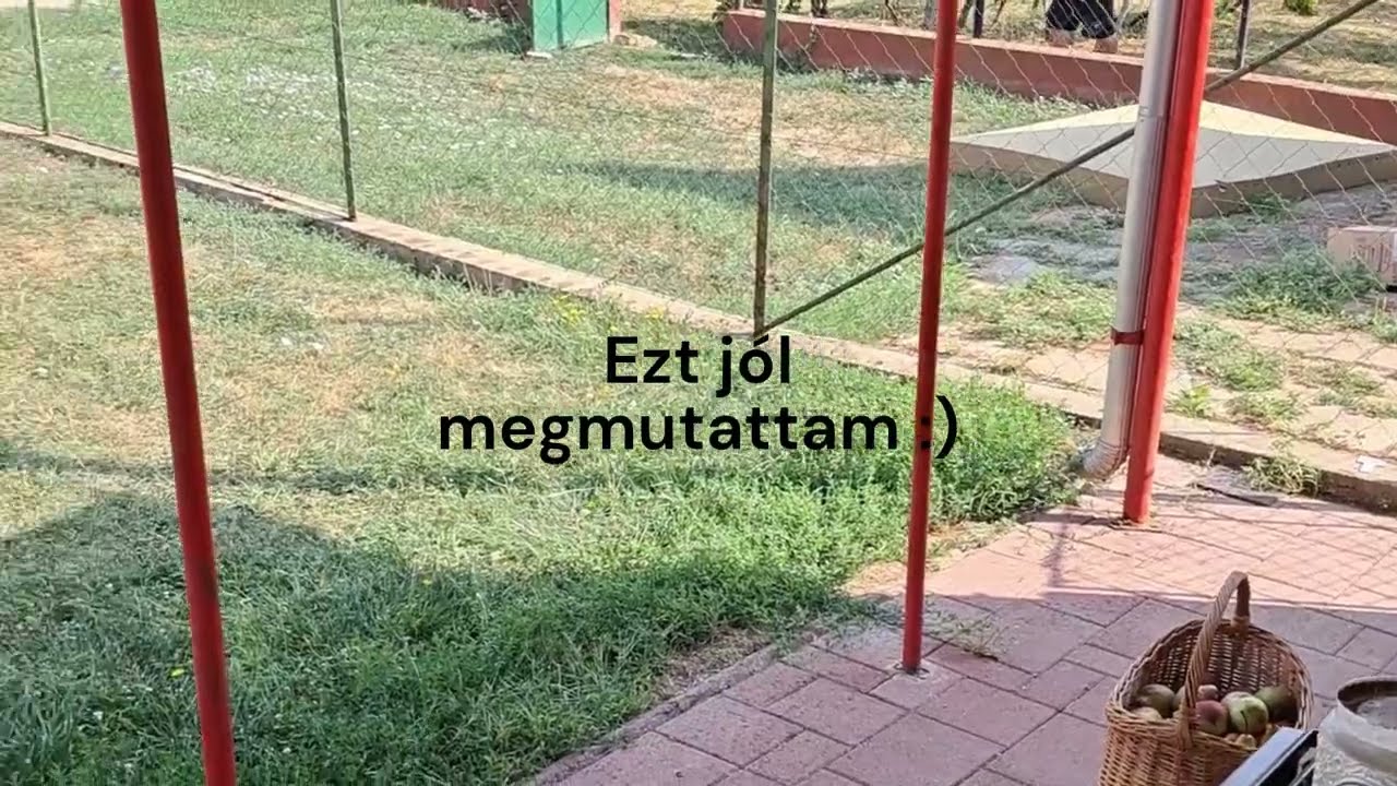 Házfelújítás - 2. rész 