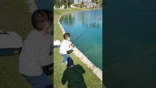 Monster fish caught by my kid