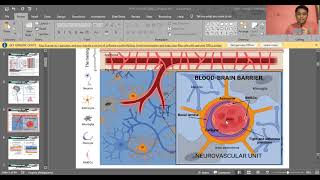 MT 51: Didactics | Clinical Microscopy Review (Cerebrospinal Fluid Analysis)