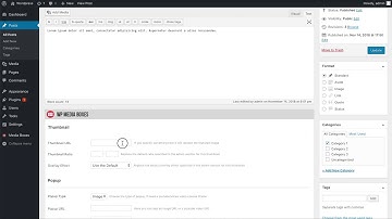 Wordpress Media Boxes - Adding Meta Data To My Posts