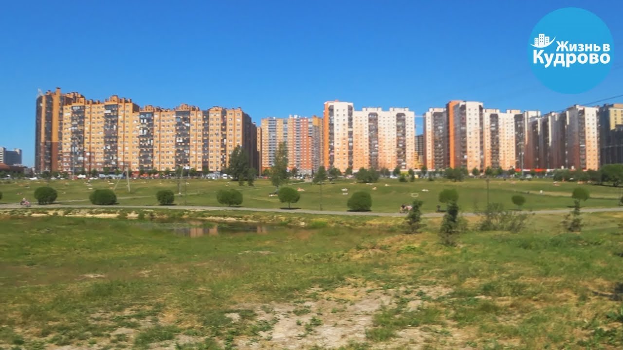 Хонда в кудрово