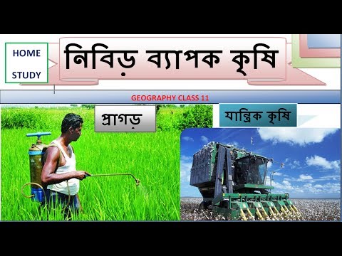 ভিডিও: নিবিড় ফসল উৎপাদন কি?