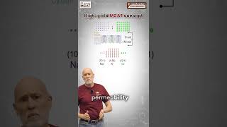 Resting Membrane Potential - 1-Minute MCAT Concept