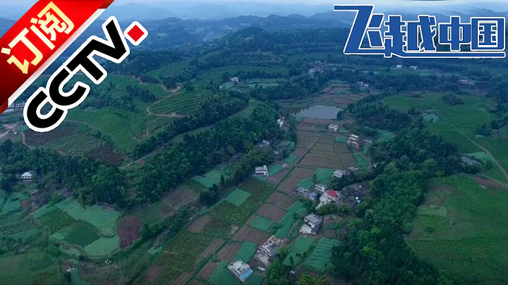 《飛越中國》醉美春色 四川都江堰 | CCTV - 天天要聞