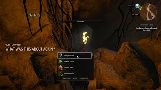 The Witcher 3: What was this about again? treasure hunt