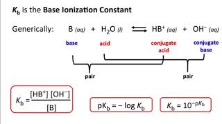 Kb and Weak Bases