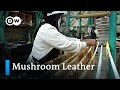 Vegan mushroom leather fashion from Indonesia | Global Ideas