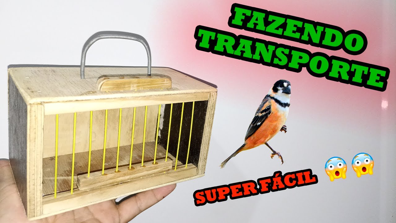 FAZENDO TRANSPORTE PARA PÁSSARO, TOTALMENTE CASEIRO