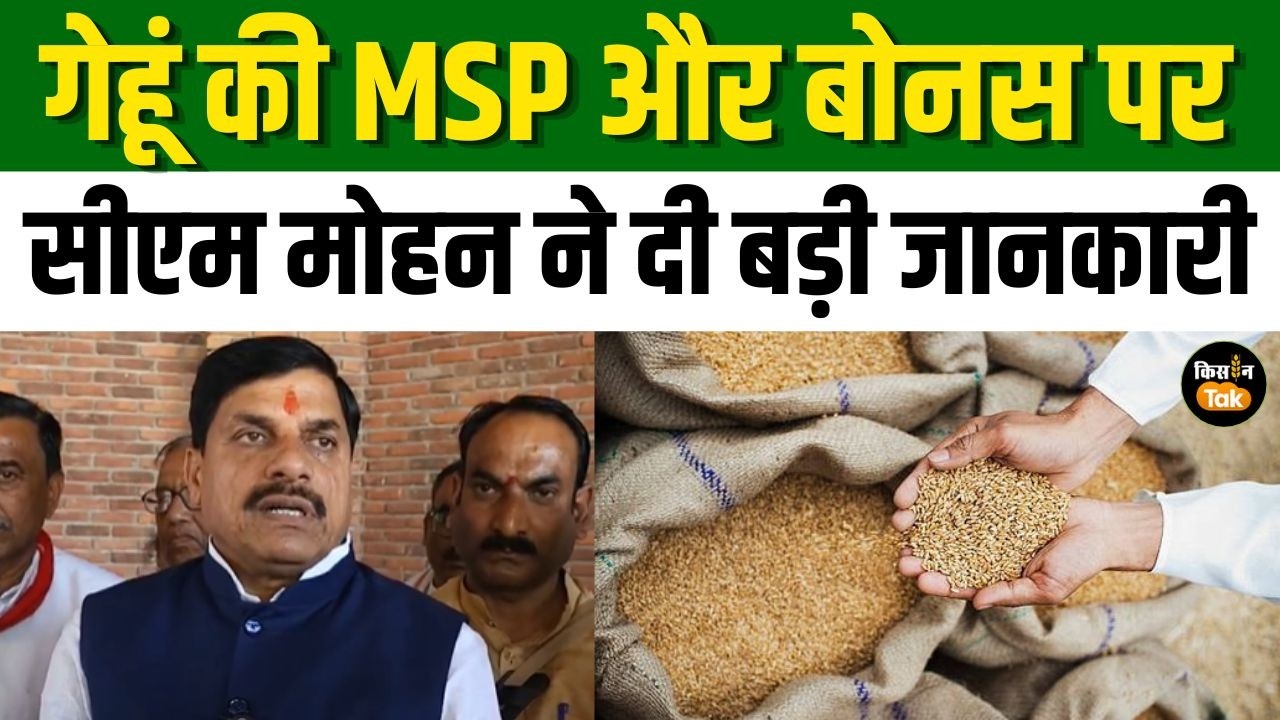 MP News: बिजली की समस्या, उड़द और गेहूं के बोनस पर CM Mohan Yadav ने कही बड़ी बात #agriculturenews