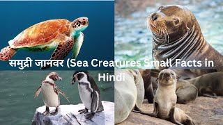 Sea Lions | Penguin | Sea Turtle Marine Life Small Facts in Hindi #sealife #seaanimals #seacreatures