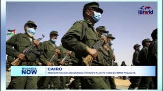 Western Sahara Debunks Rumours Of France's Plan To Fund Sahrawi Project