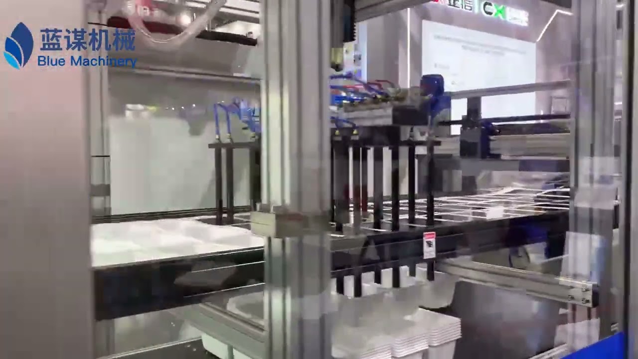 PPPS & PET FoodPackagingPioneering Blister MoldingTechnology with Enhanced Vacuum FormingEfficiency