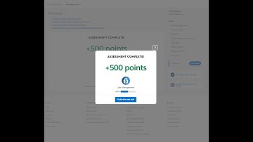 User Management || Add New Users || Challenge 1