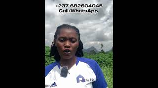     This Is the Best Time to Buy Land in Yaoundé: 500m² Plots at Giveaway Prices! screenshot 5
