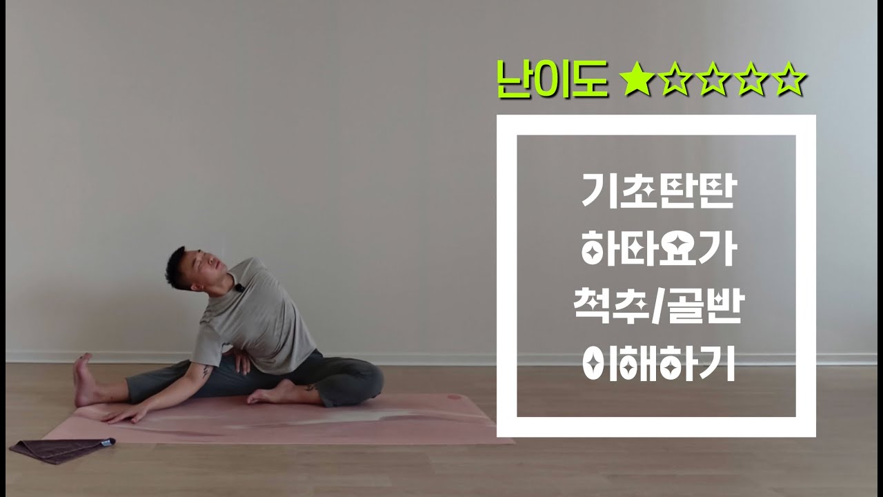 [기초탄탄 하타요가] 골반과 척추 움직임을 이해하는 50분 하타요가