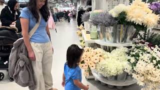 Day trip to Woodfield Mall and Hmart in Schaumburg, IL 2/27/2026