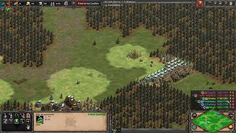 Drop fps - AOE2 DE