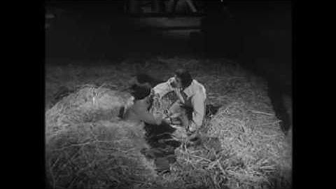 Johan en de Alverman