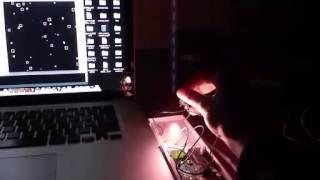 processing:arduino